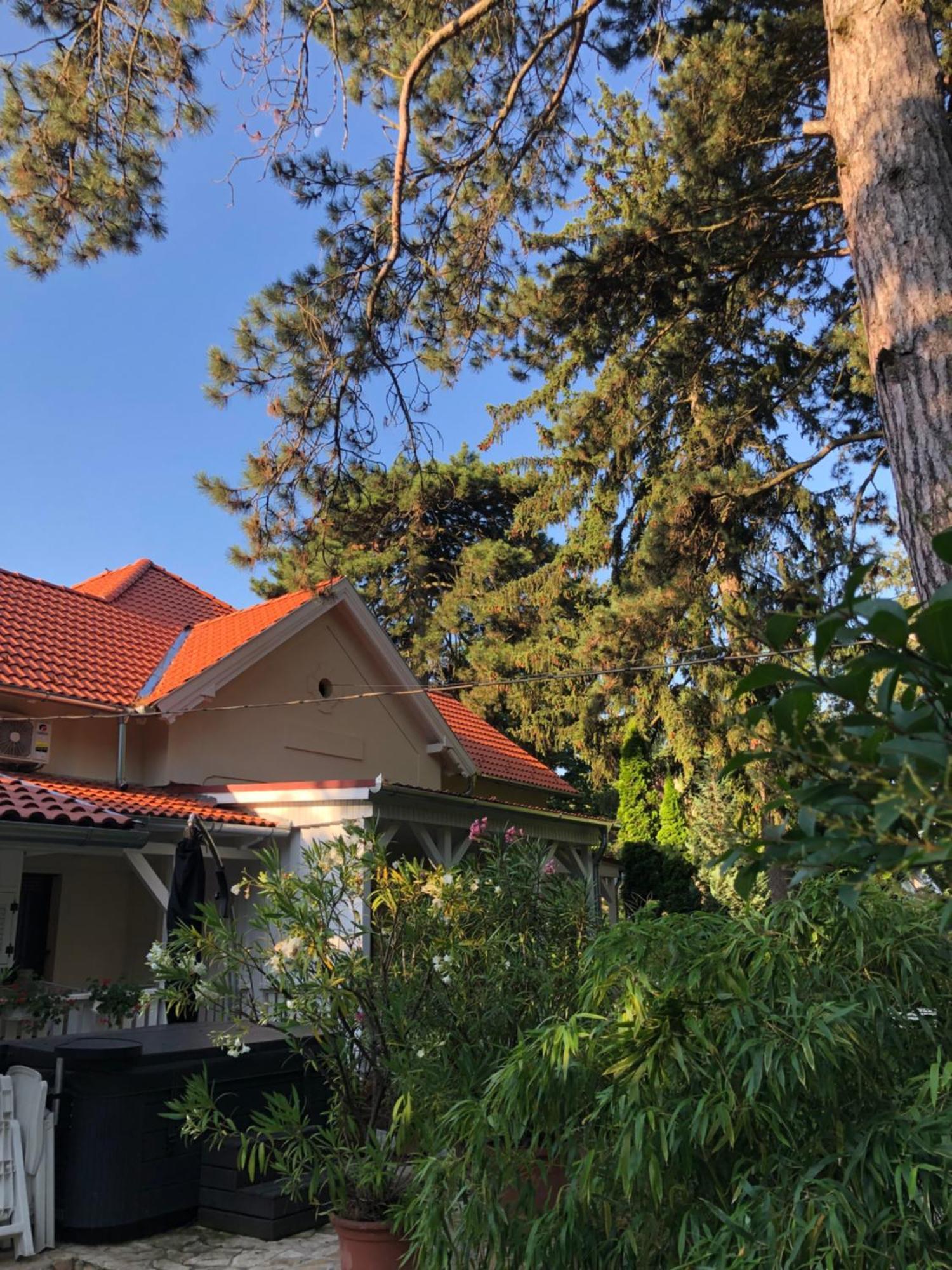Szem-s Vendégház Balatonszárszó Exterior foto